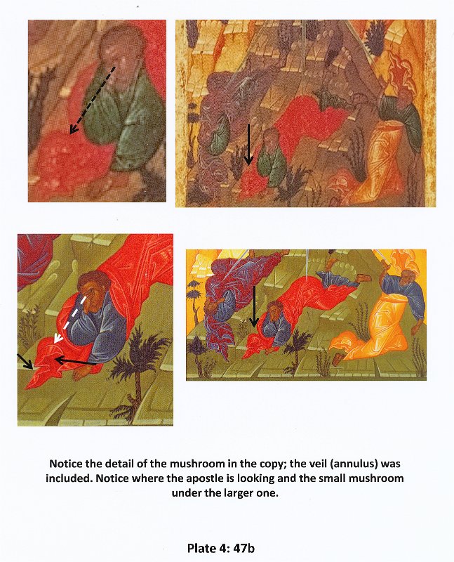 Plate 4 - 47b